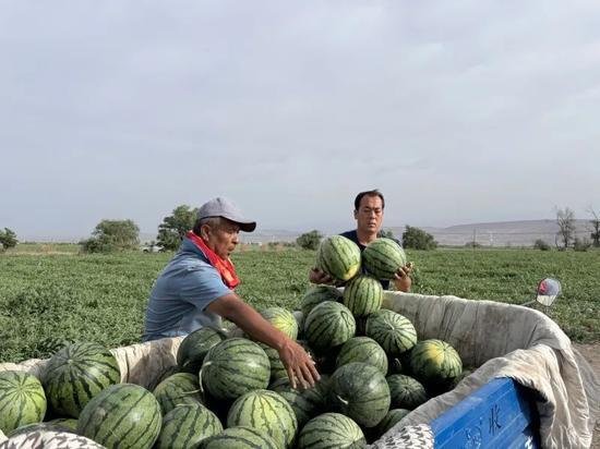 多种吃瓜的视频,揭秘热门视频背后的八卦风云