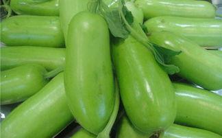 可以吃蒲瓜吗有毒吗视频,揭秘蒲瓜是否有毒