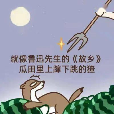 吃瓜反转故事大全视频,揭秘那些颠覆认知的吃瓜故事