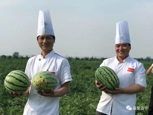 大厨吃瓜的视频,美食与娱乐的跨界碰撞