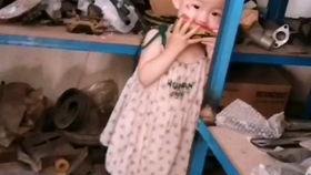 人类吃瓜幼崽视频,吃瓜幼崽视频引发社会热议