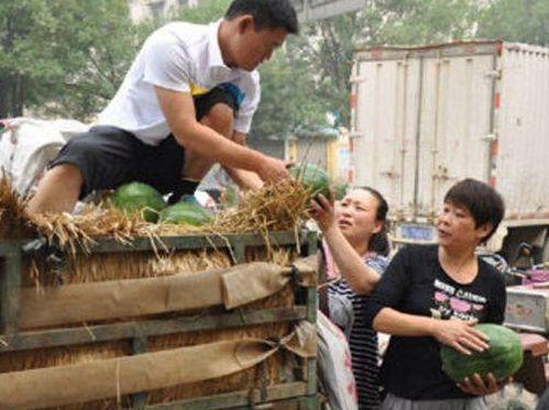 鸡泽县吃瓜事件视频,一场引发热议的网络视频风波