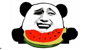 搞笑吃瓜超快的视频,笑料横生！吃瓜群众速览搞笑视频集锦