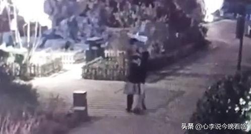 唐河吃瓜事件视频完整版,揭秘背后真相与争议