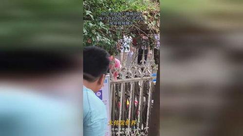 吃瓜群众曝光视频大全,揭秘网络热点背后的真相