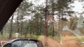 学校吃瓜视频盆友圈,揭秘校园吃瓜视频背后的故事