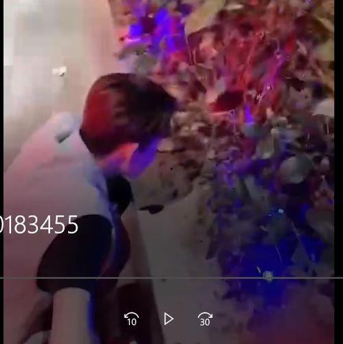 厦门的吃瓜群众事件视频,一场网络舆论的风暴与反思