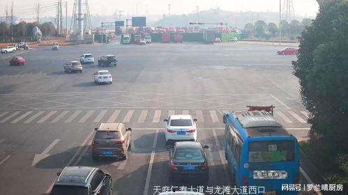 追尾现场吃瓜视频大全下载