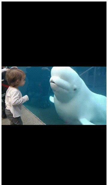 王力宏明星在线吃瓜视频,揭秘娱乐圈幕后故事