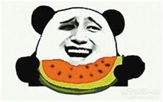 大白老师吃瓜群众视频,吃瓜群众的背后故事